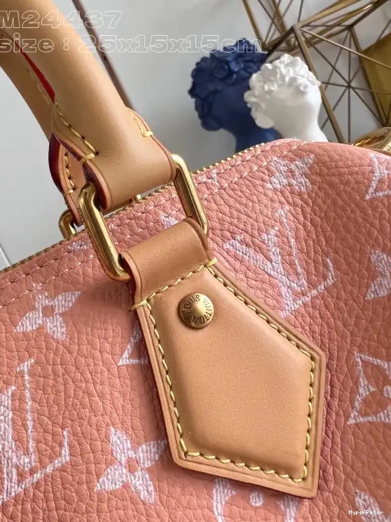 SPEEDY Louis Vuitton 25 0706